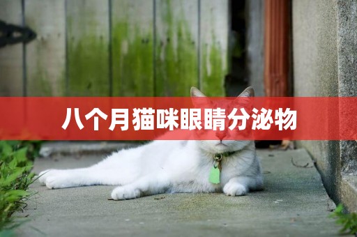 八個月貓咪眼睛分泌物