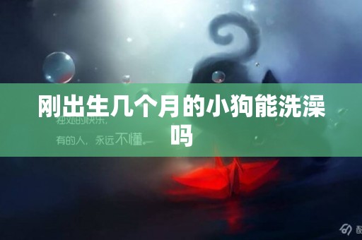 剛出生幾個月的小狗能洗澡嗎