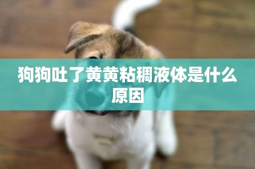 狗狗吐了黃黃粘稠液體是什么原因