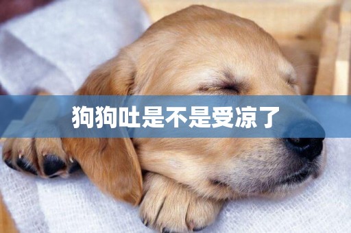 狗狗吐是不是受涼了