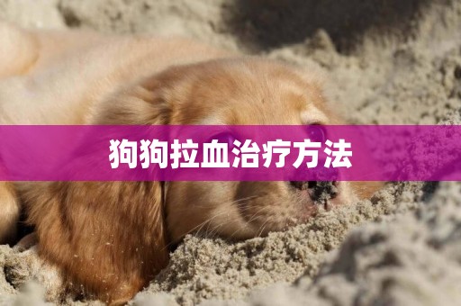 狗狗拉血治療方法