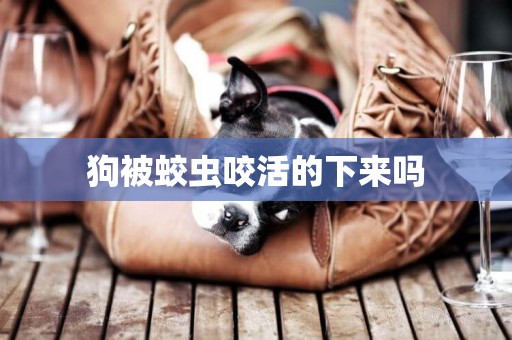 狗被蛟蟲咬活的下來嗎