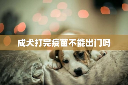 成犬打完疫苗不能出門嗎