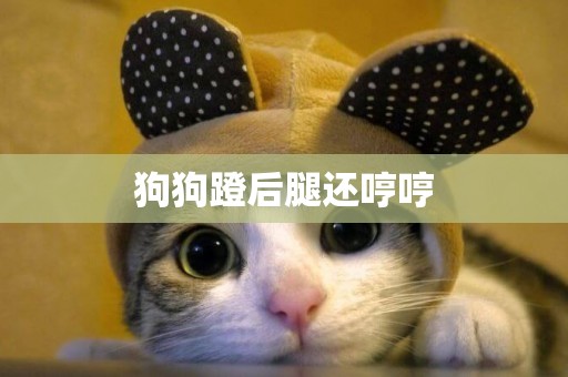 狗狗蹬后腿還哼哼