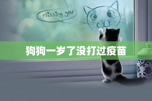 狗狗一歲了沒打過疫苗