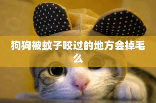 狗狗被蚊子咬過的地方會掉毛么