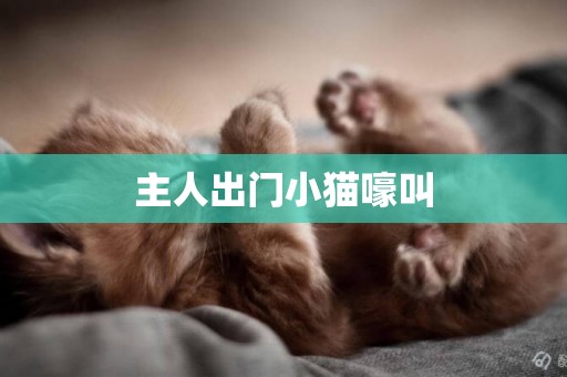 主人出門小貓嚎叫