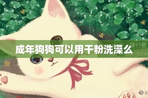 成年狗狗可以用干粉洗澡么