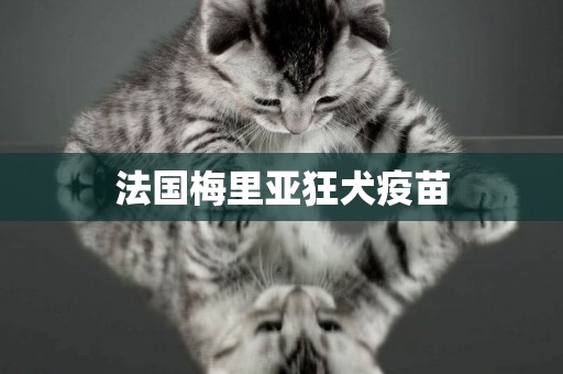 法國梅里亞狂犬疫苗