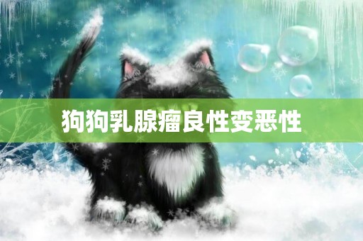 狗狗乳腺瘤良性變惡性