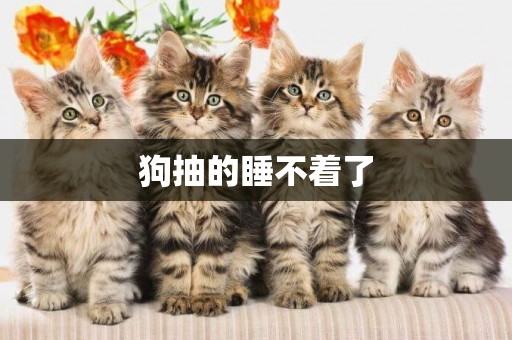 狗抽的睡不著了
