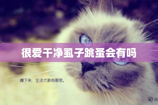 很愛干凈虱子跳蚤會有嗎