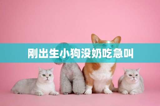 剛出生小狗沒奶吃急叫