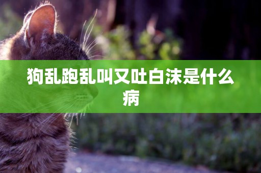 狗亂跑亂叫又吐白沫是什么病