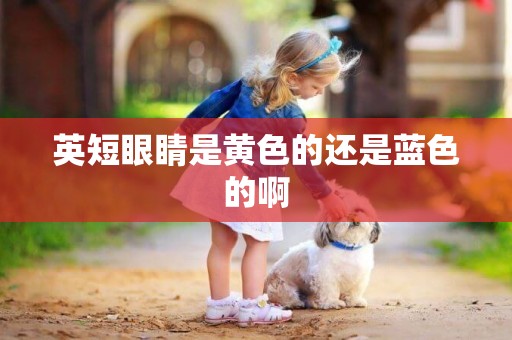 英短眼睛是黃色的還是藍色的啊