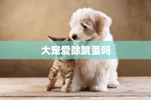 大寵愛除跳蚤嗎