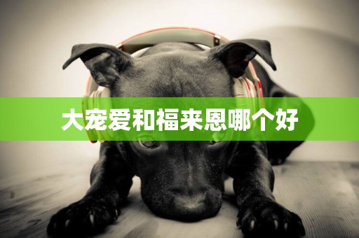 大寵愛和福來恩哪個好