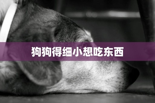 狗狗得細小想吃東西