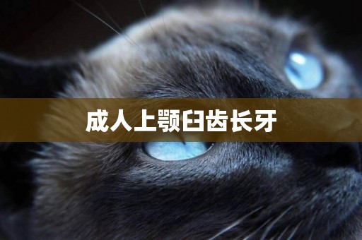 成人上顎臼齒長牙