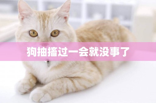 狗抽搐過一會就沒事了