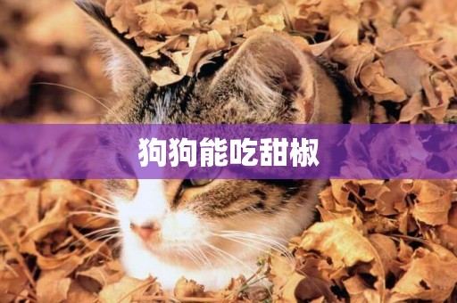 狗狗能吃甜椒
