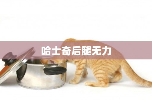 哈士奇后腿無力