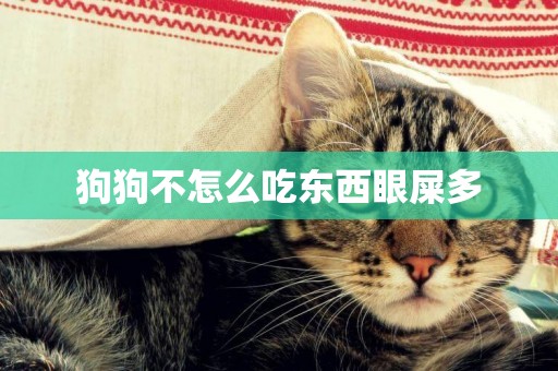 狗狗不怎么吃東西眼屎多
