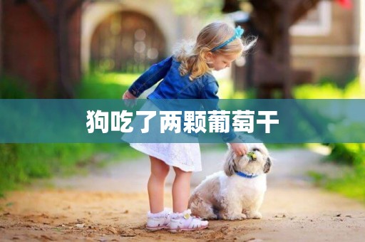狗吃了兩顆葡萄干