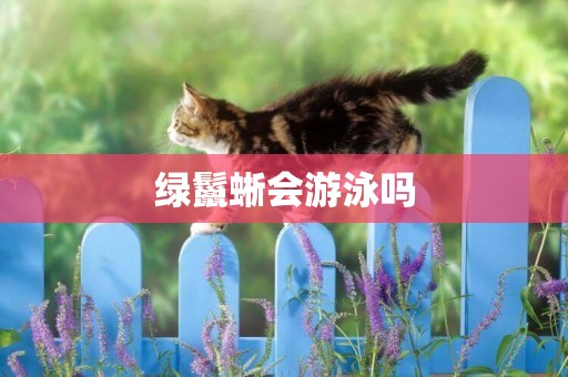 綠鬣蜥會游泳嗎