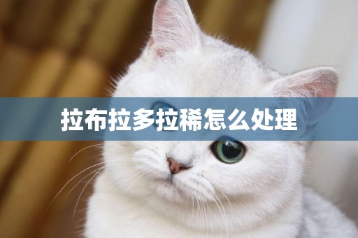 拉布拉多拉稀怎么處理