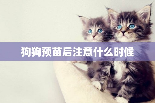 狗狗預苗后注意什么時候