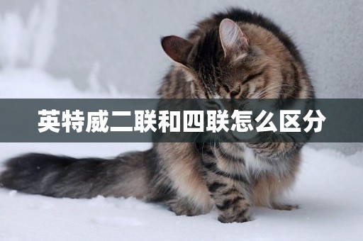 英特威二聯和四聯怎么區分