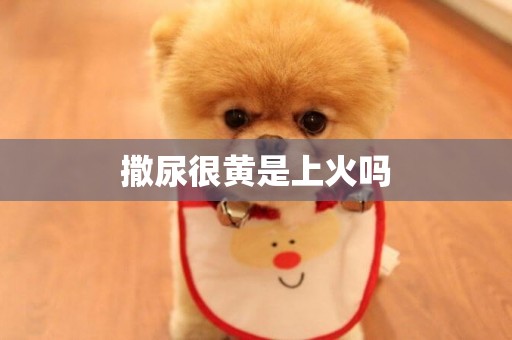 撒尿很黃是上火嗎