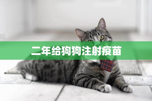二年給狗狗注射疫苗