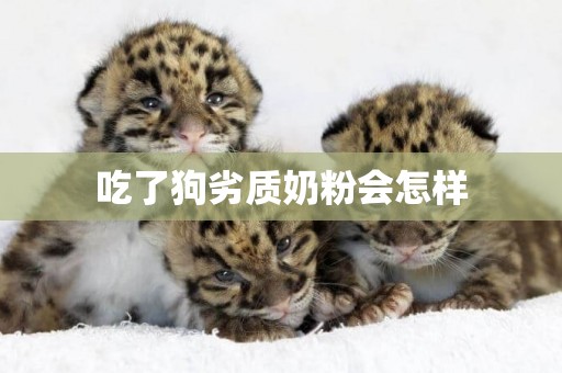吃了狗劣質奶粉會怎樣