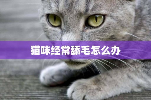 貓咪經常舔毛怎么辦