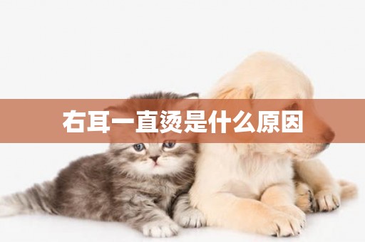 右耳一直燙是什么原因