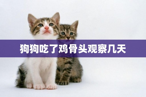 狗狗吃了雞骨頭觀察幾天