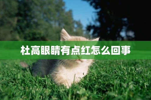 杜高眼睛有點紅怎么回事