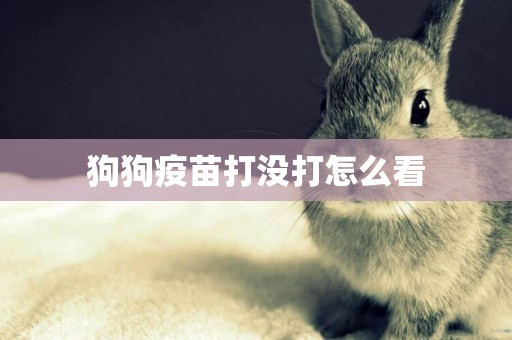 狗狗疫苗打沒打怎么看