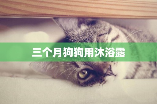 三個月狗狗用沐浴露
