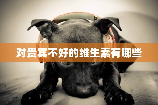 對貴賓不好的維生素有哪些