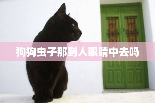 狗狗蟲子那到人眼睛中去嗎