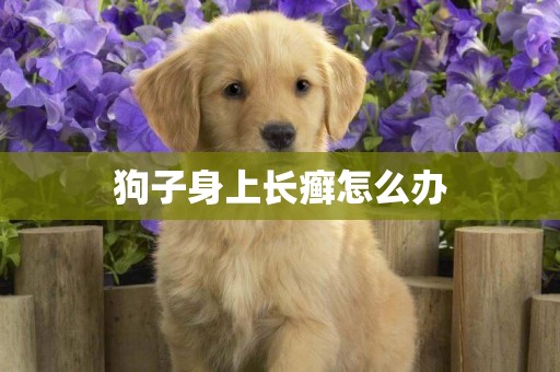 狗子身上長癬怎么辦