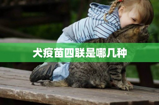 犬疫苗四聯是哪幾種