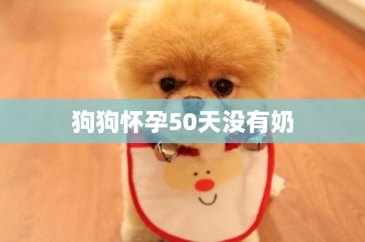 狗狗懷孕50天沒有奶