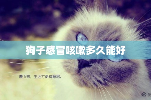 狗子感冒咳嗽多久能好