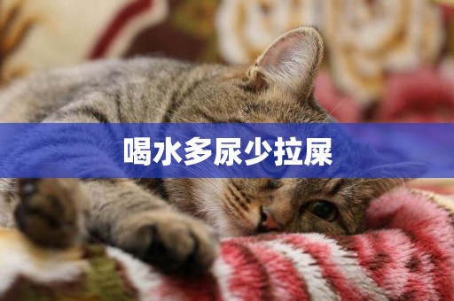 喝水多尿少拉屎