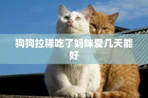 狗狗拉稀吃了媽咪愛幾天能好