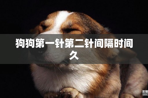 狗狗第一針第二針間隔時間久